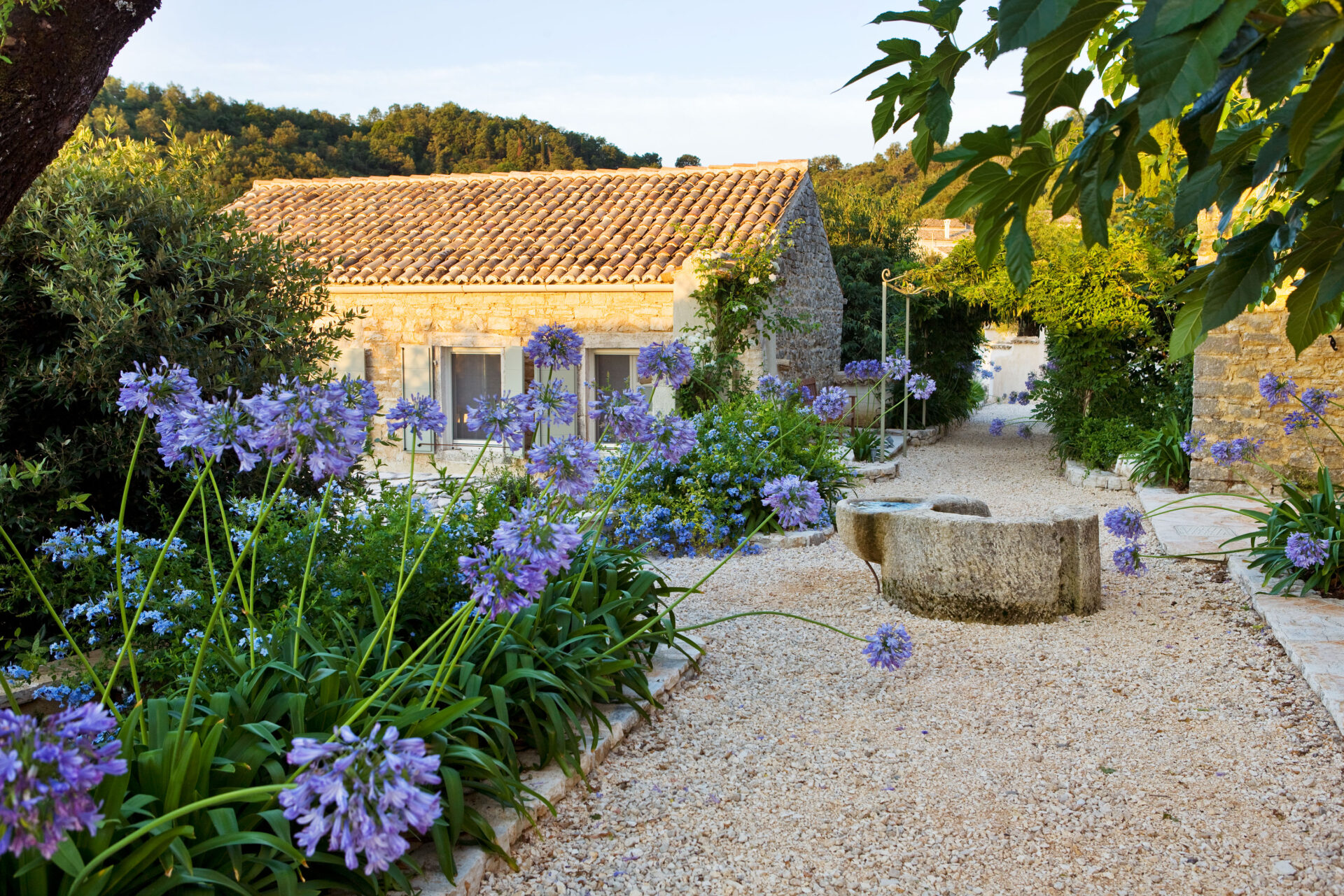 The Rou Estate, Corfu, Greece, Meditteranean Style Garden – Gravel Path and Agapanthus with Well and Pergola